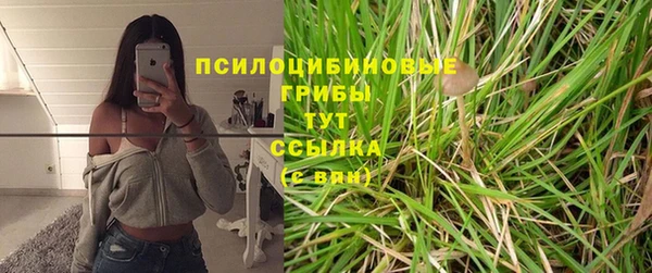 стафф Новозыбков