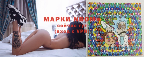 стаф Нея