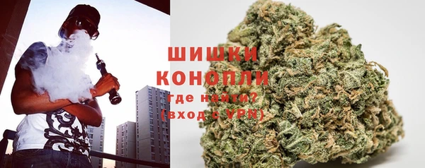 стафф Новозыбков