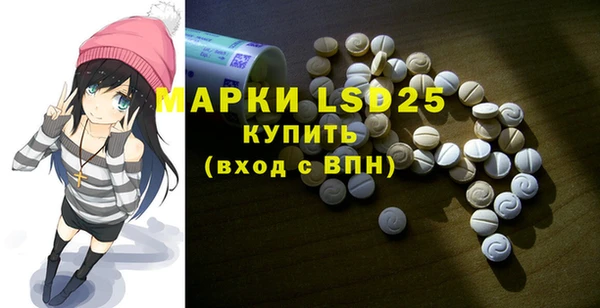 стаф Нея
