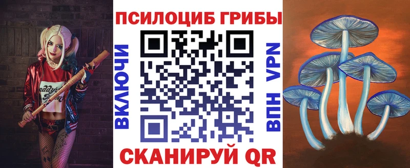 Псилоцибиновые грибы Psilocybine cubensis  Удомля 